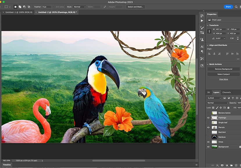 Photomontage animalier réalisé sous Photoshop par un apprenant